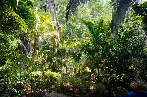 Hotel Amanwana Ecofinca