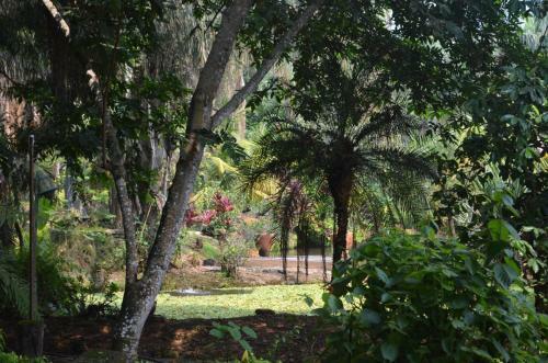 Hotel Amanwana Ecofinca
