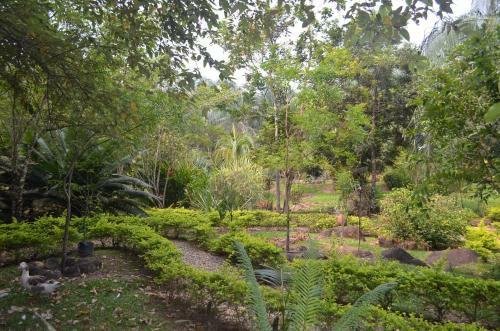 Hotel Amanwana Ecofinca