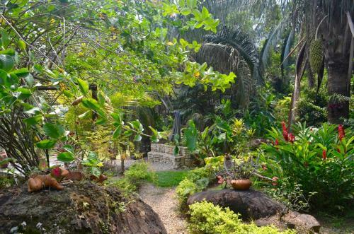 Hotel Amanwana Ecofinca