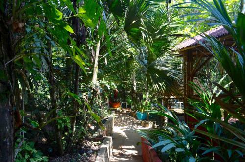 Hotel Amanwana Ecofinca