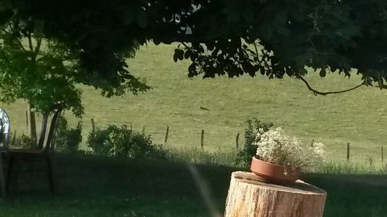 Bed & Breakfast Domaine De Noyer