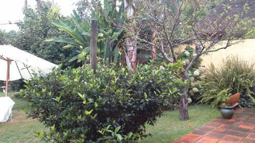 Bed & Breakfast Mi Rincon