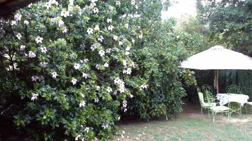 Bed & Breakfast Mi Rincon