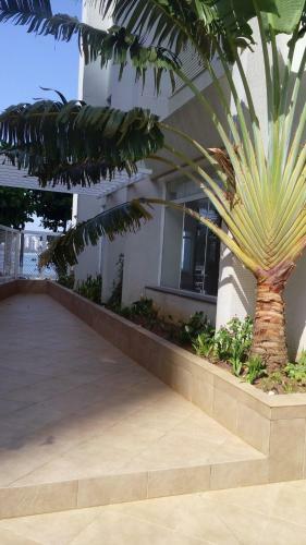 Ast�rias Top Apartamento