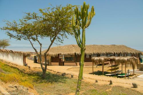 Hotel El Faro Adventure Resort