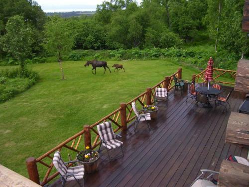 Bed & Breakfast Juneberry Lodge