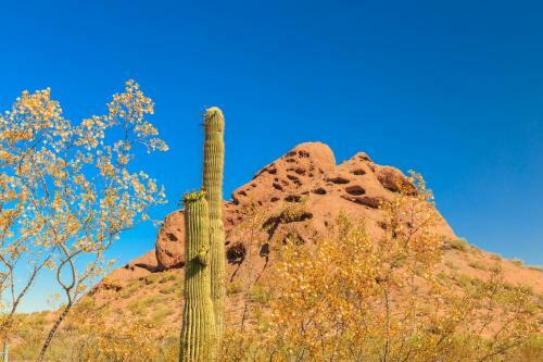 Pinnacle Peak