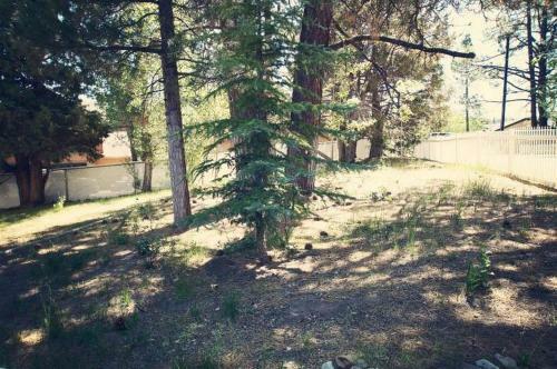 Bear Snugglin' By Big Bear Cool Cabins