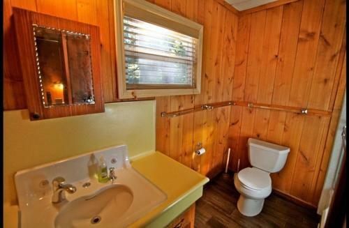 Honey Bear Lodge