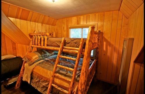Honey Bear Lodge