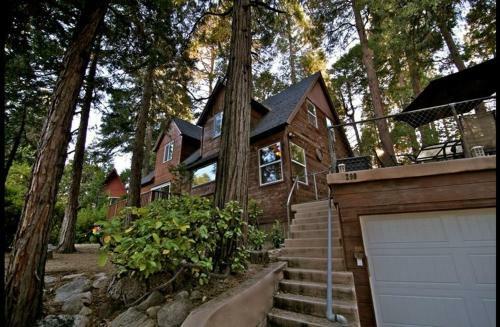 Honey Bear Lodge