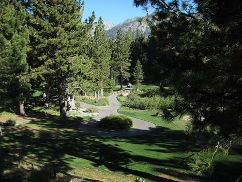 Apartamento Mammoth Green 208