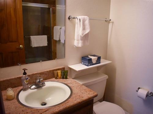 Apartamento Courchevel 13