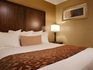 Best Western Plus Orchid Hotel & Suites