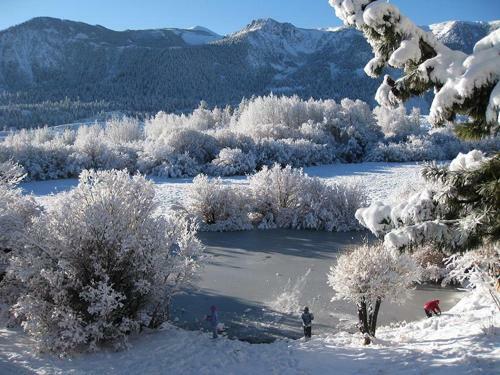 Apartamento Snowcreek 63