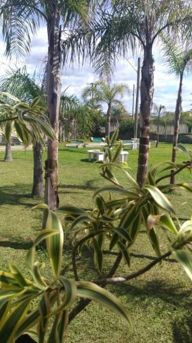 Rondinha Hotel