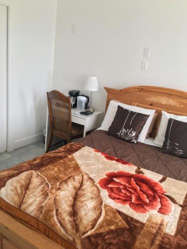 Hostal White House Bed And Breakfast
