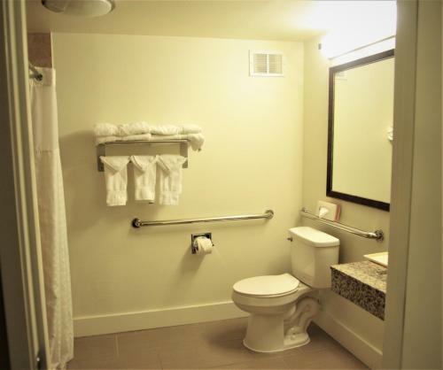 Hotel Comfort Suites Tulare