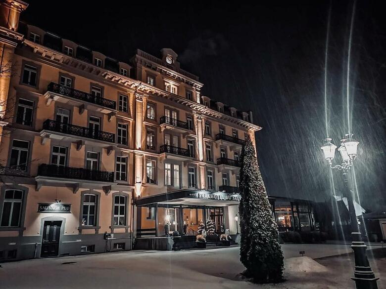 Parkhotel Du Sauvage