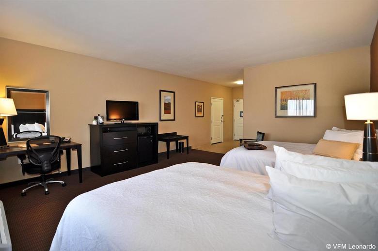Hotel Hampton Inn Alamosa