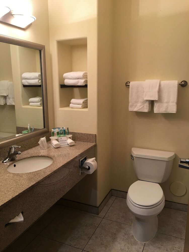 Holiday Inn Express Hotel & Suites Alamosa