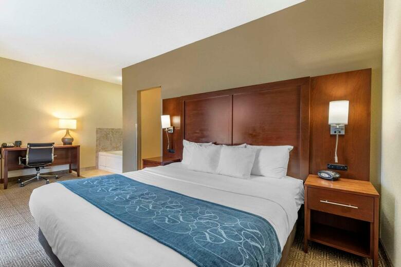 Hotel Comfort Suites Castle Rock