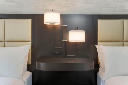 Hotel Hampton Inn & Suites Denver-tech Center