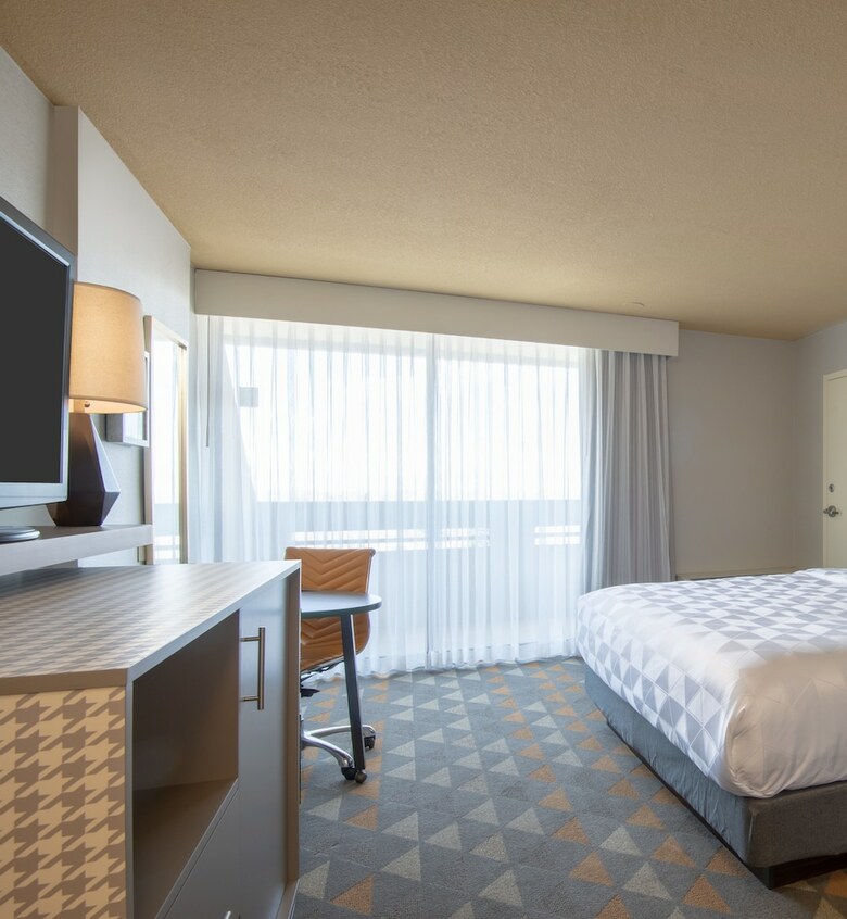 Hotel Holiday Inn Denver East - Stapleton