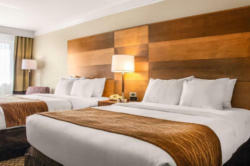Hotel Comfort Inn & Suites Durango
