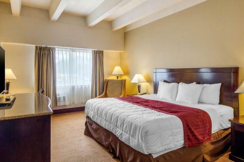 Hotel Super 8 Midtown