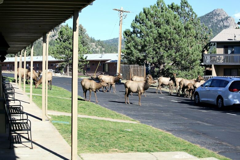 Hotel Comfort Inn Estes Park