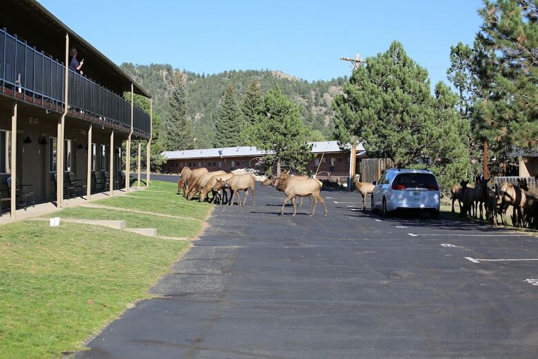 Hotel Comfort Inn Estes Park