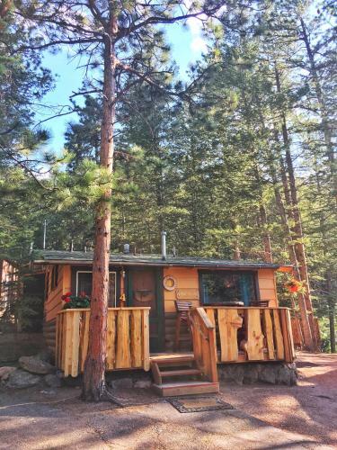 Hotel Pine Haven Resort