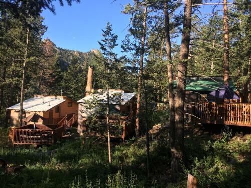 Hotel Pine Haven Resort