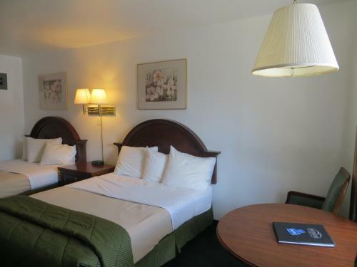 Silver Saddle Motel