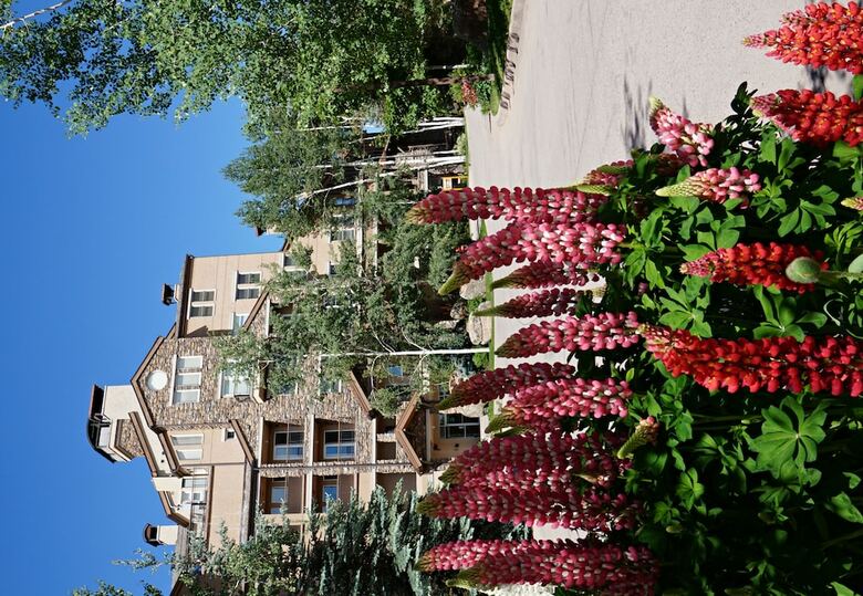 Hotel Woodrun Place