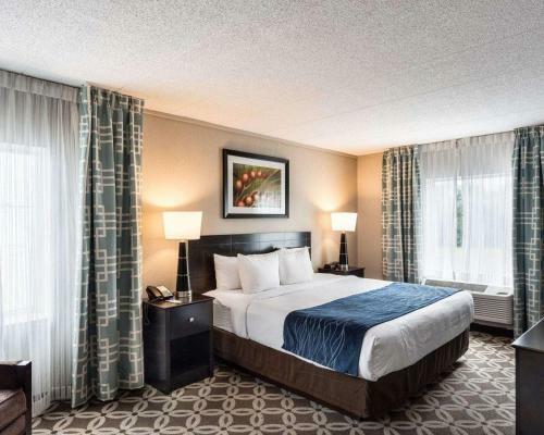 Hotel Comfort Inn - Rehoboth