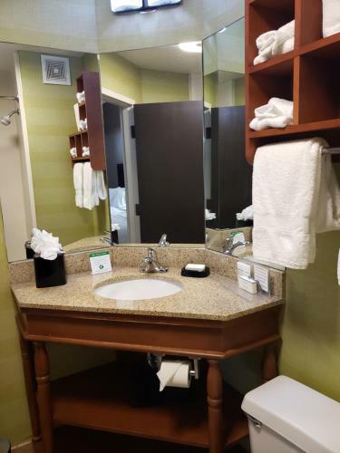 Hotel Hampton Inn Tampa-brandon