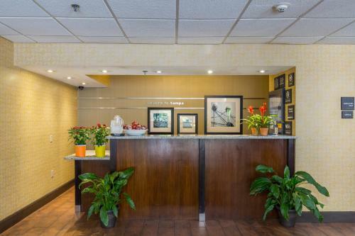 Hotel Hampton Inn Tampa-brandon