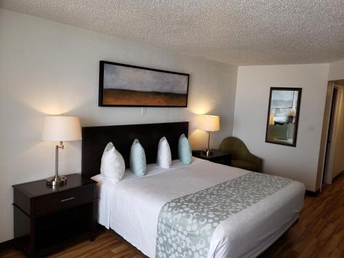Posada Flamingo Inn Beachfront - Daytona Beach