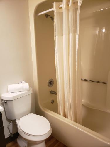 Posada Flamingo Inn Beachfront - Daytona Beach