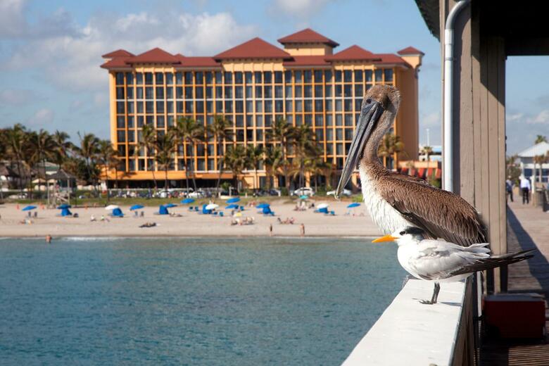Hotel Wyndham Deerfield Beach Resort