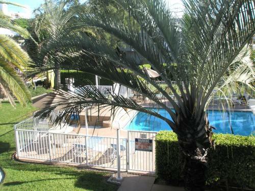 Motel Tropic Isle Beach Resort