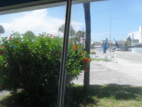 Shore Winds Motel