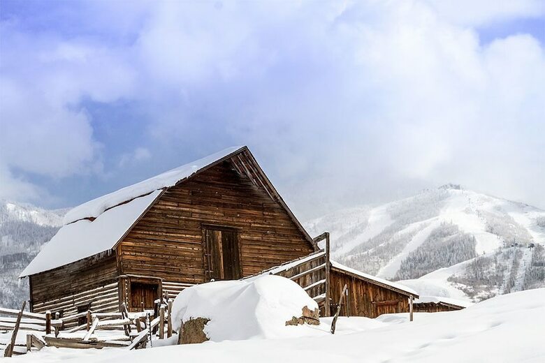 Wildwood Chalet