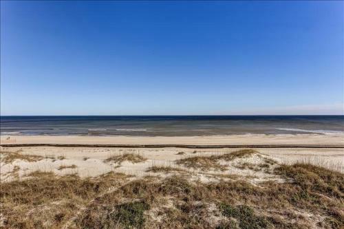 Coral Sands 301