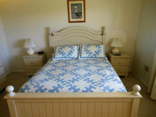 Ocean Village Coral Cluster 1212