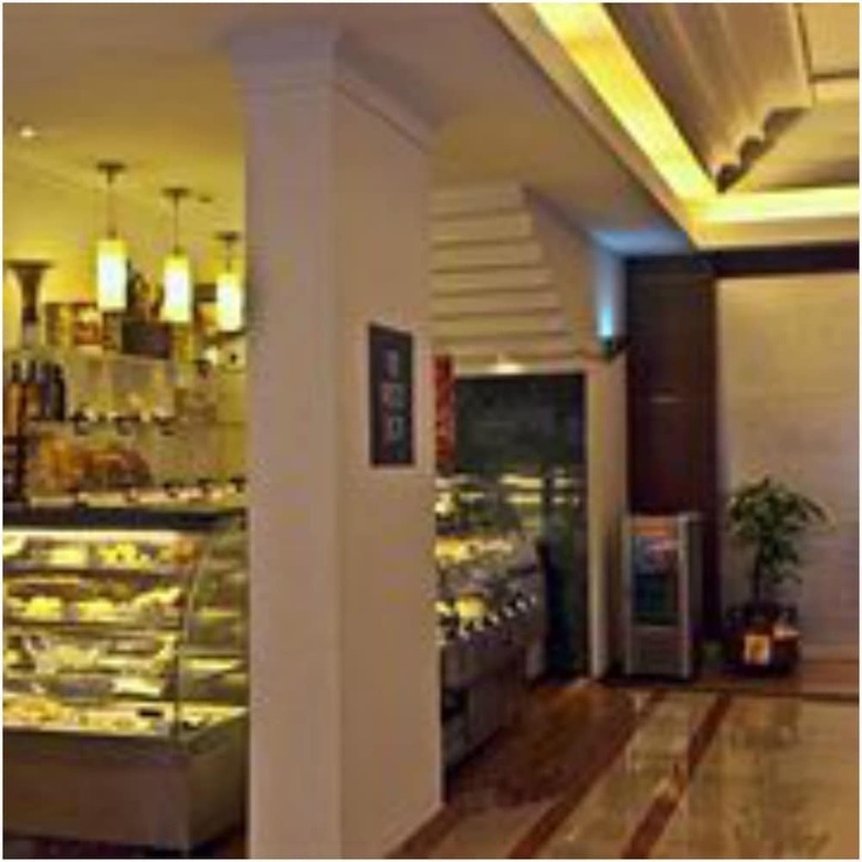 Hotel Hindustan International