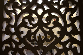 Hotel The Raj Palace